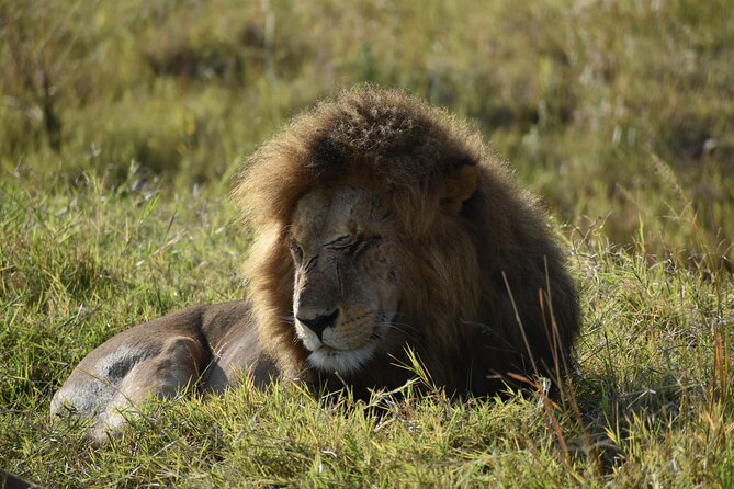 06 Days Kenya LuxuryLodge Safari - Key points worth knowing before you go
