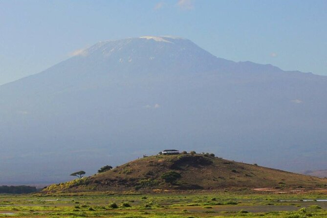 1-Day Amboseli Safari - Lunch, water, and the small comfort details that matter on a long day