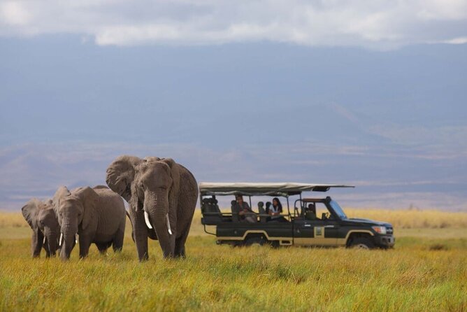 1-Day Amboseli Safari - Getting to the park: the 5:00 am start and the ride you should expect