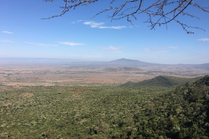 1 Day Hells Gate Biking Safari - The animal list you can plan around, and what not to force