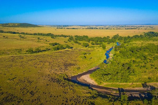 1-Day Maasai Mara Safari - Big Five Chances, Plus the Other Stuff That Makes the Day Work