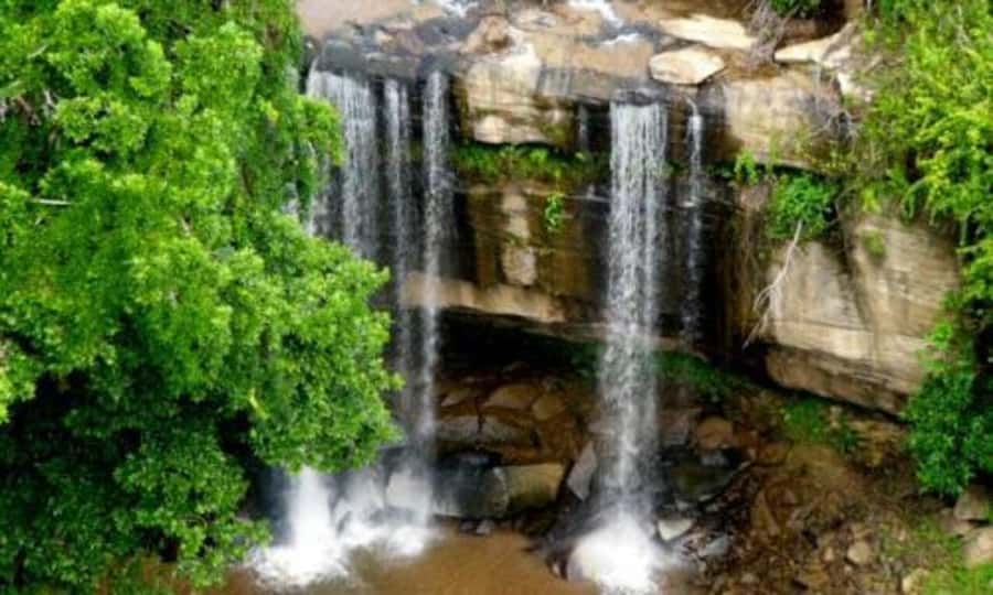 1 day Shimba Hills Tour - Lunch at Shimba Lodge: where the day resets and sightings can happen