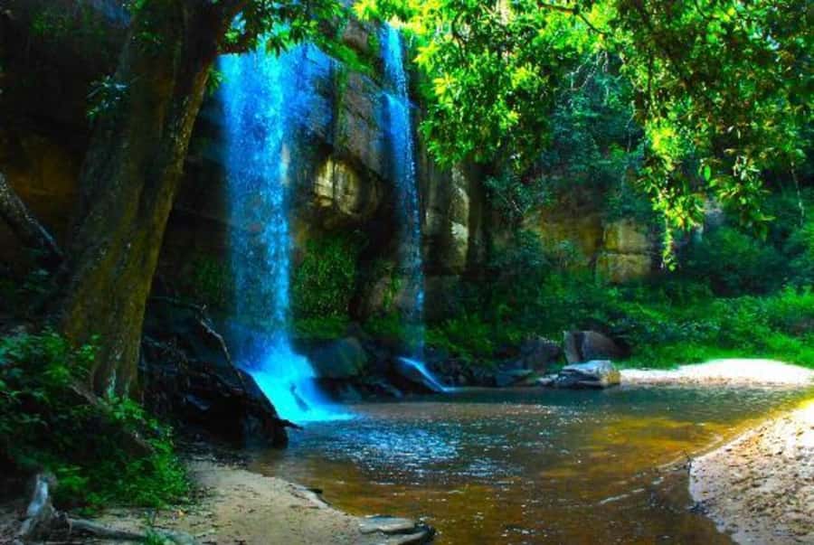 1 day Shimba Hills Tour - Price and value: what $190 buys in a 9-hour day