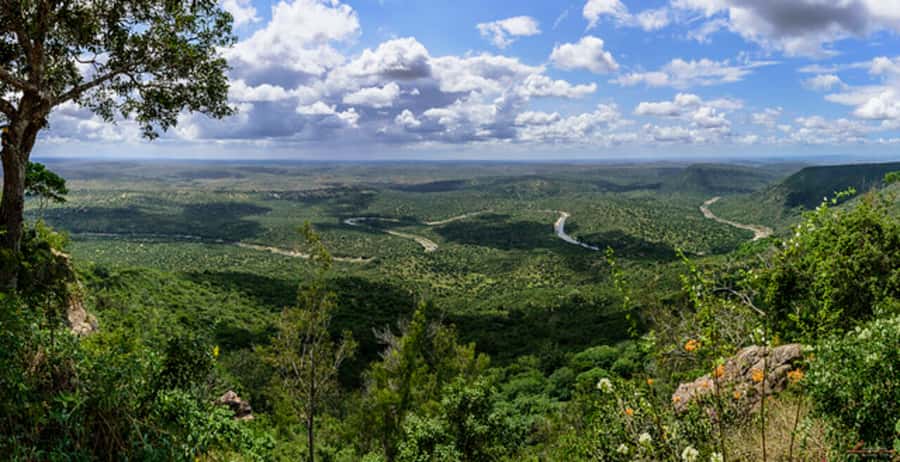 1 day Shimba Hills Tour - Getting the most out of the guide and ranger time