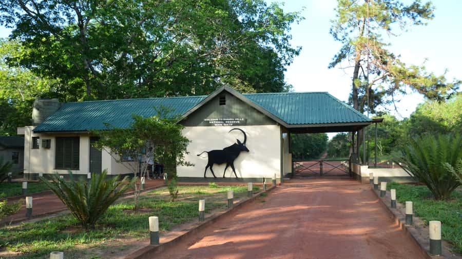 1 day Shimba Hills Tour - The 11:00 am Sheldrick Falls trek: ranger-led, not just a stop