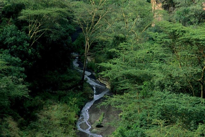 1 Day trip to Hells Gate and Lake Naivasha From Nairobi - The early pickup and the long drive you should plan for