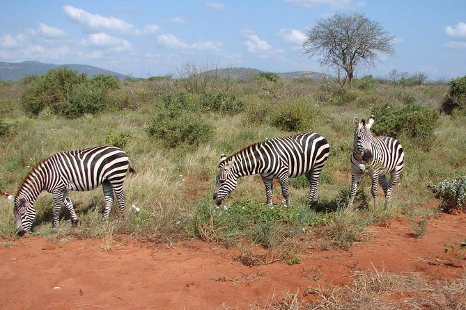 1-Day Tsavo East Safari From Mombasa - Key Things That Make This Tsavo East Day Safari Click