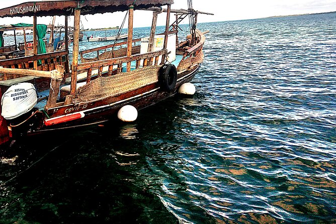 1 day wasini island ( Kisite Marine park) - Key highlights you should care about