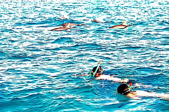 1 day wasini island ( Kisite Marine park) - Price and what $160 buys you on a 10-hour day