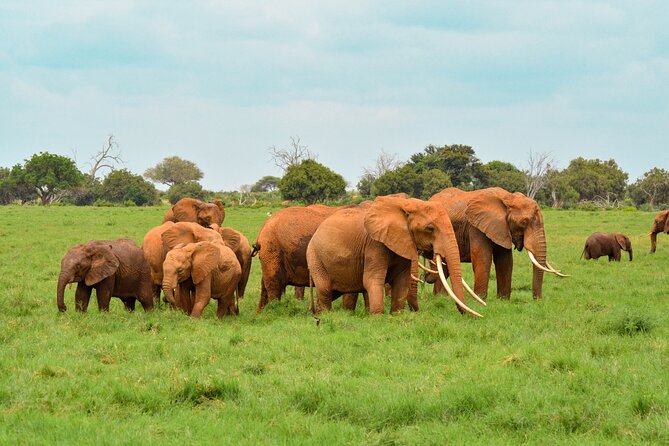 10-Day Private Tour in Big Five Safari and Beaches - Day 4: Hell’s Gate Scenery Time, Plus Giraffe Centre Feeding