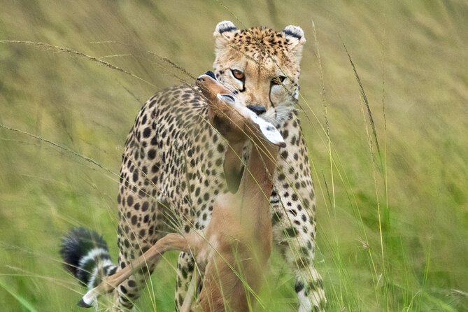 10-Day Private Tour in Big Five Safari and Beaches - Food, Comfort, and the Less-Glory Parts That Matter