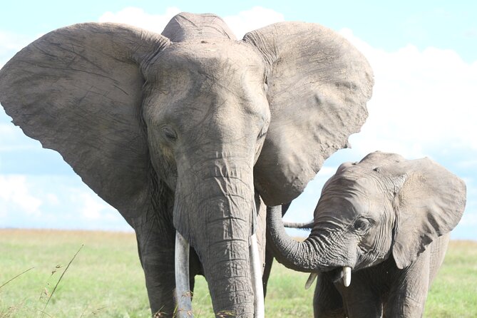 10 -Days Best of Kenya and Tanzania Classic Safari - Amboseli and Kilimanjaro Views: Big Wildlife With a Mountain Backdrop