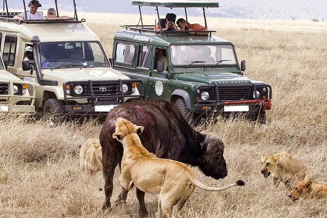 10-Days Kenya Wildlife Private Safari and Mombasa Diani Beach Holidays - From Great Rift Valley views to Diani sand: the trip’s core idea