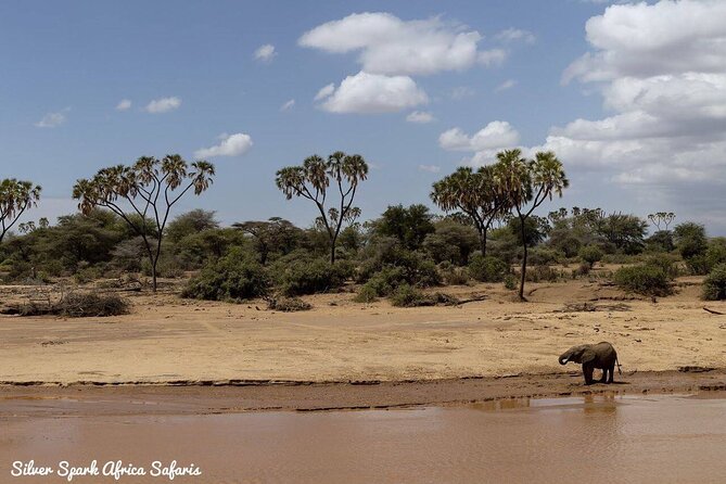 11-Day Serengeti, Maasai Mara, Tarangire, Amboseli Park - Ngorongoro Crater and Olduvai Gorge: crater walls, permanent water, and deep time