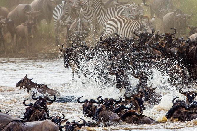 11-Days Best of Kenya & Tanzania Big 5 Safari on a 4x4 Jeep - Key highlights to know before you go