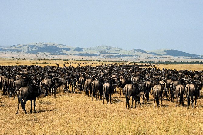 11-Days Best of Kenya & Tanzania Big 5 Safari on a 4x4 Jeep - Price and value: what you are paying for at $5,275 per person