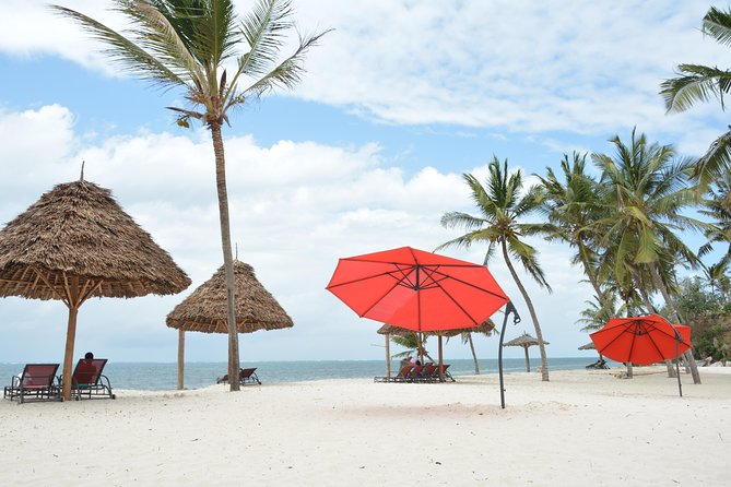 11-Days Kenya Zanzibar Safari - Amboseli days: Mzima Springs hippos, Kilimanjaro views, and big-elephant energy