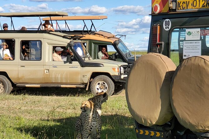 11 Days Private Tour to Explore Amboseli and Samburu - Private Route, Real Safari Rhythm, Start to Finish