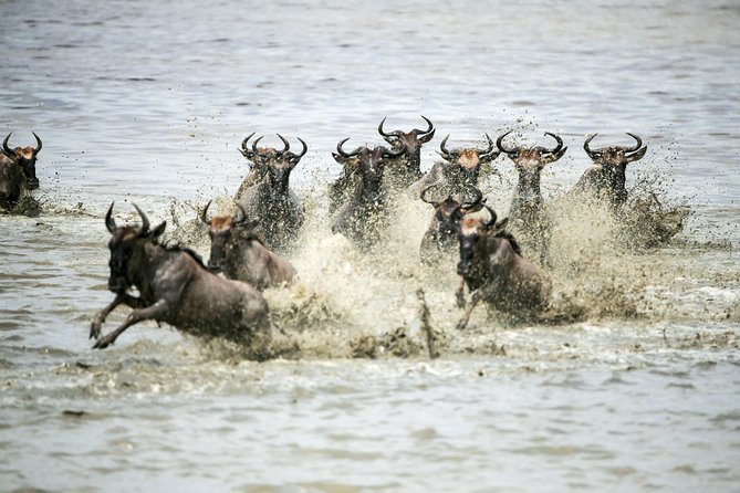 12 Days Best Of Kenya and Tanzania Safari - Luxury - Amboseli National Park: Safari Again, Plus the View Factor