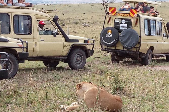 12 Days Kenya and Tanzania Budget Private Safari from Nairobi - Serengeti plains and the Hippo Pool hour