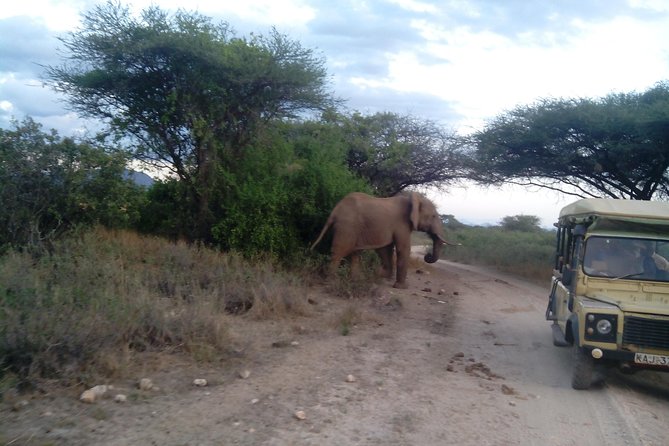 12 Days Kenya and Tanzania Budget Private Safari from Nairobi - Rift Valley opener: Naivasha viewpoints, Hell’s Gate biking, and a boat hour
