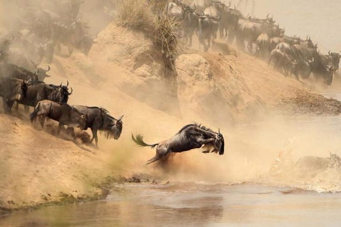 12 days Kenya and Tanzania safari private lodge from Nairobi - Nairobi start, one night at Best Western Plus, and a smooth first evening
