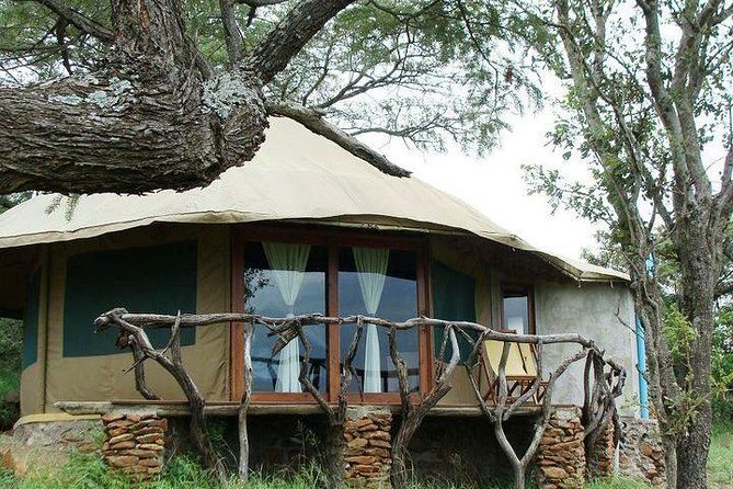 12 days Kenya and Tanzania safari private lodge from Nairobi - Maasai Mara: tented camp nights, multiple game drives, and Big Five chasing