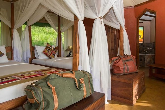 12 days Kenya and Tanzania safari private lodge from Nairobi - Serengeti full days: morning and afternoon drives, and the migration story you’ll see in real time