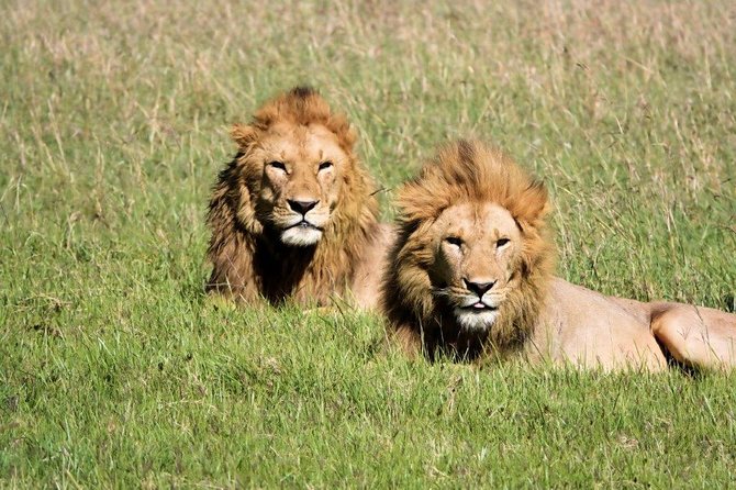 12 days Kenya and Tanzania safari private lodge from Nairobi - Lake Naivasha and Hell’s Gate: Rift Valley views, mini safari, and a hippo boat