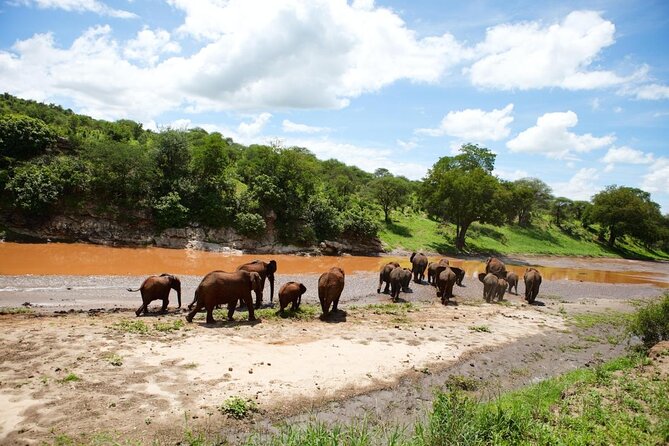 12 Days Kenya & Tanzania Safari Private Lodge Safari from Nairobi - Key points to know before you book