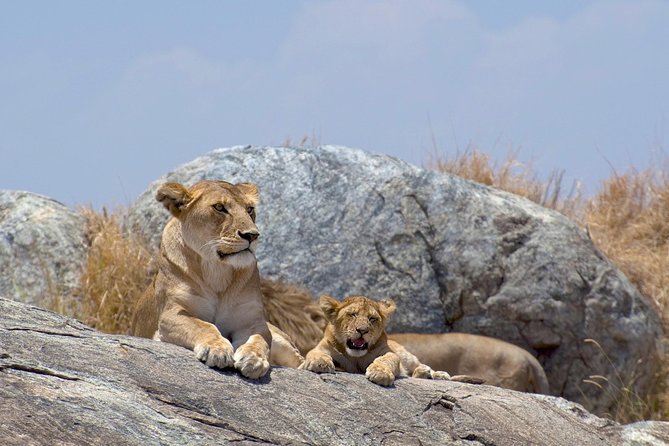 12 Days Kenya & Tanzania Safari Private Lodge Safari from Nairobi - Lake Nakuru for black rhino, plus a full day that stays flexible