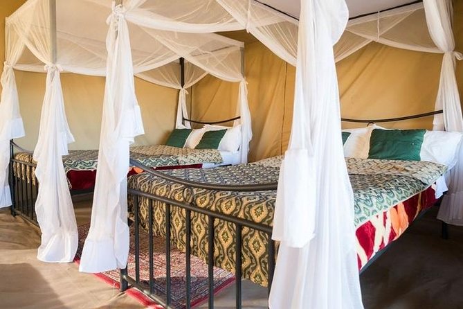 12 Days Kenya & Tanzania Safari Private Lodge Safari from Nairobi - Crossing into Serengeti: border handling and then evening game drive
