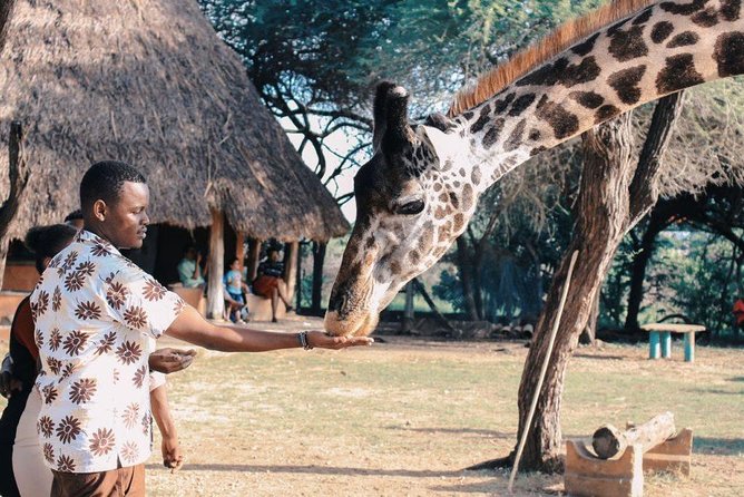12 Days Kenya Tanzania wildlife Joining Tour - Maasai Mara: Mara River Drives, Mara Triangle Chances, And Optional Balloon Time