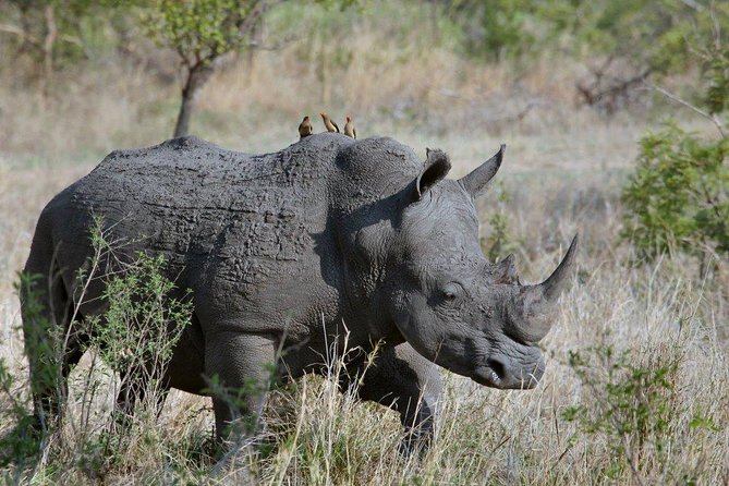 12 Days Kenya Tanzania wildlife Joining Tour - Nairobi National Museum And Your First Night: Easy Landing Day Rhythm