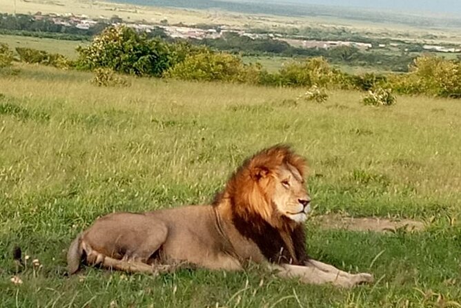 12 Days wildebeest migration Masai Mara Nakuru Uganda gorilla trekking safari - Lake Bunyonyi on Day 7: a breather before gorilla trekking