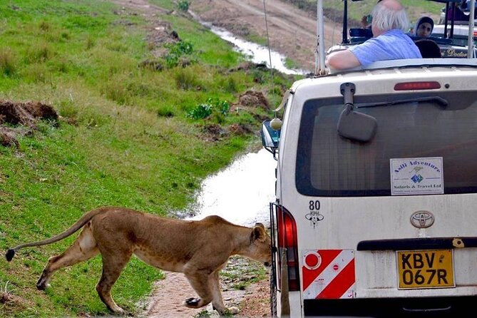 13-Day Private Wildlife Safari Tour of Kenya and Tanzania - Game Drives: How to Get Better Sightings (Not Just More Hours)