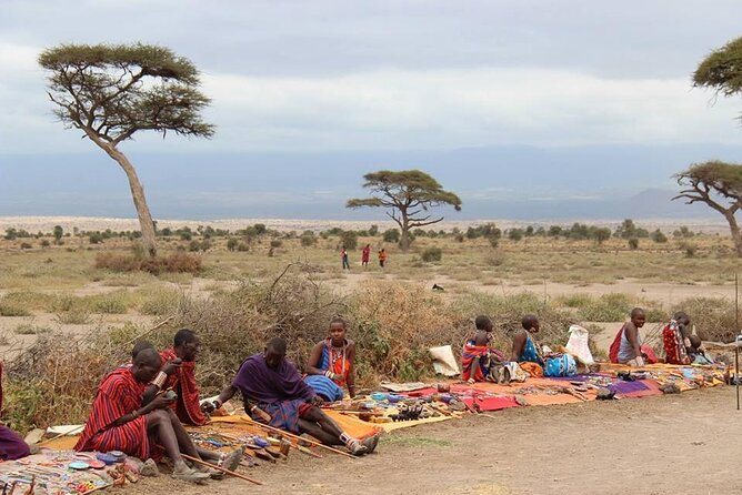 13-Day Private Wildlife Safari Tour of Kenya and Tanzania - Who This Safari Suits Best