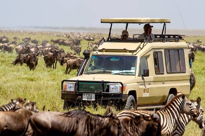 13 Days Best of Kenya and Tanzania BudgetSafari - Key highlights before you go