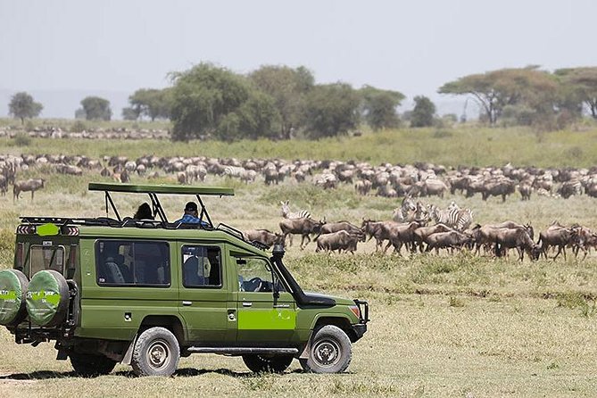 14-Days Kenya and Tanzania Camping Safari from Nairobi - Nairobi to the parks, with less guesswork than DIY