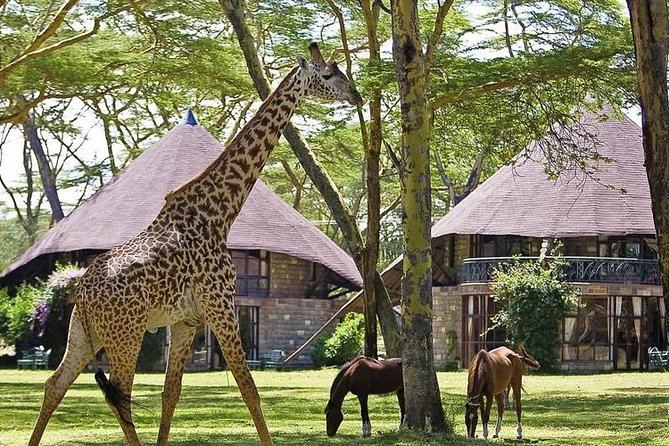 15 Days Classic Kenya & Tanzania + Zanzibar Beach Holiday - Lake Naivasha and Hells Gate: Bicycles, Birds, and Crescent Island