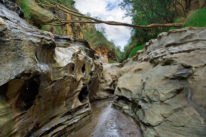 15 Days Classic Kenya & Tanzania + Zanzibar Beach Holiday - Tarangire to Zanzibar: Changing Gears Without Losing Momentum