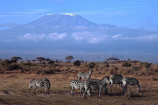 15 Days Classic Kenya & Tanzania + Zanzibar Beach Holiday - Amboseli National Park: Kilimanjaro Views and Elephant Encounters