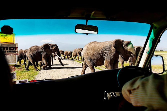 2-Day Amboseli National Park Safari- Daily Departures - Key things you will notice right away