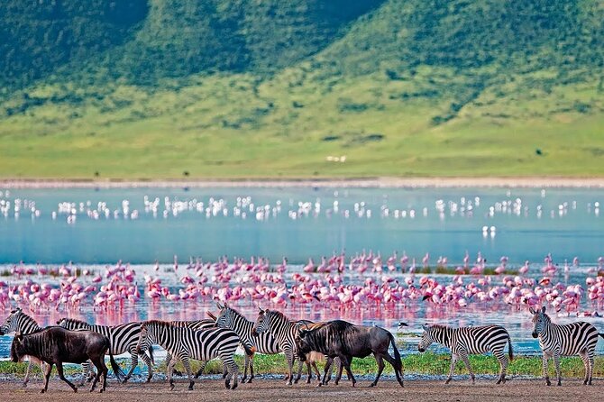 2-Day Hell's Gate, Crescent Island and Nakuru - Private Safari - Key highlights to look for