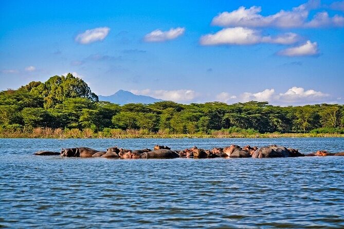 2-Day Hell's Gate, Crescent Island and Nakuru - Private Safari - Wildlife and Bird Watching: What You Can Expect, Without Overpromising