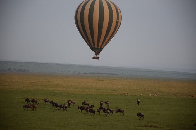 2-Day Private Tour in Masai Mara with Pick Up - Who this tour fits best (and who may want longer)