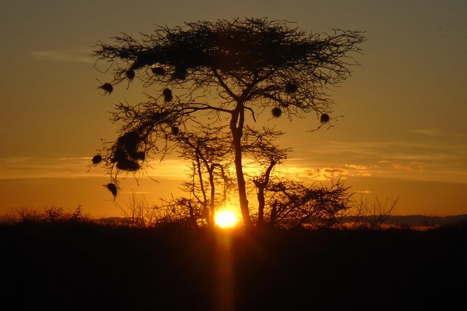 2-Day Private Tour in Tsavo East - Getting from Mombasa to the Park: The 2.5-Hour Reality Check