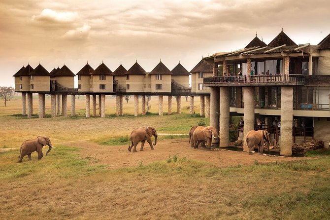 2-Day Safari in Taita Hills from Mombasa - Taita Hills and Salt Lick Lodge on Stilts, the Overnight Part That People Remember