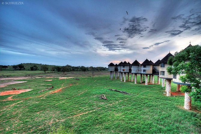 2-Day Safari in Taita Hills from Mombasa - Ngutuni Lodge Lunch Over a Waterhole, Where Waiting Actually Pays
