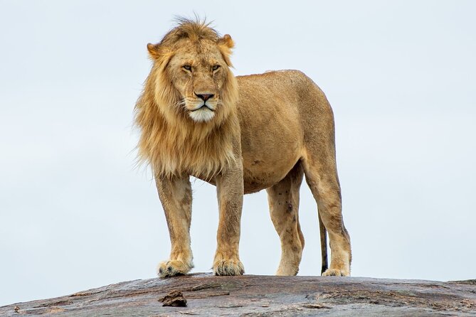 2-Day Tsavo East Private Tour - Key highlights you should care about